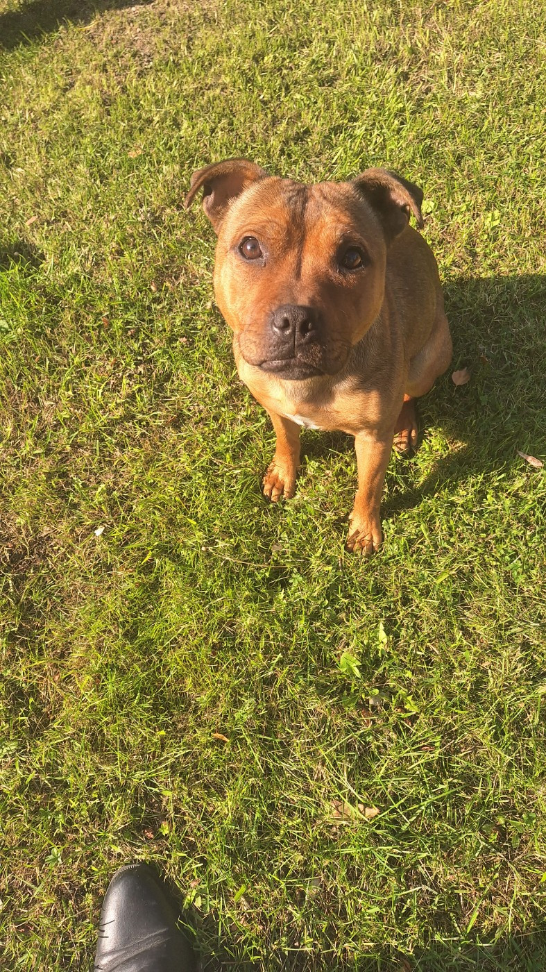 Vany La vallee des sages