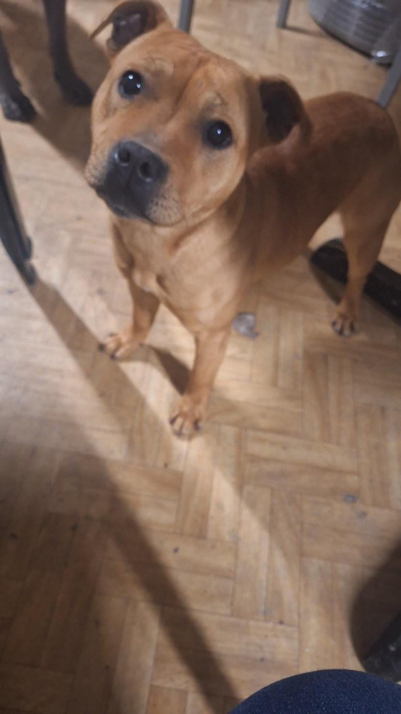 Vicky de la vallee des sages